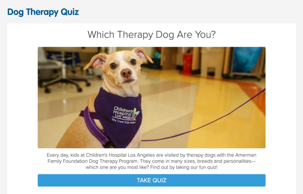 pet dog personality quiz example