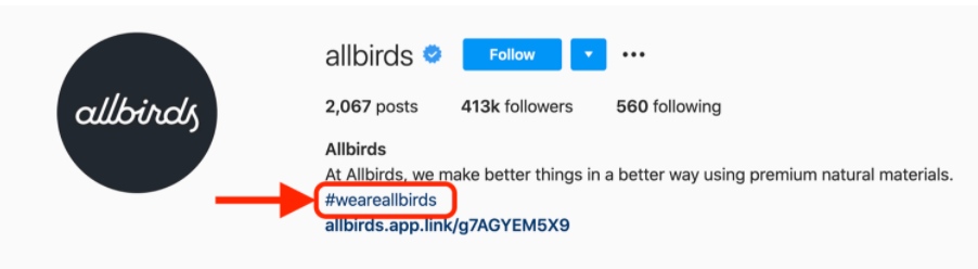 AllBirds instagram bio hashtag