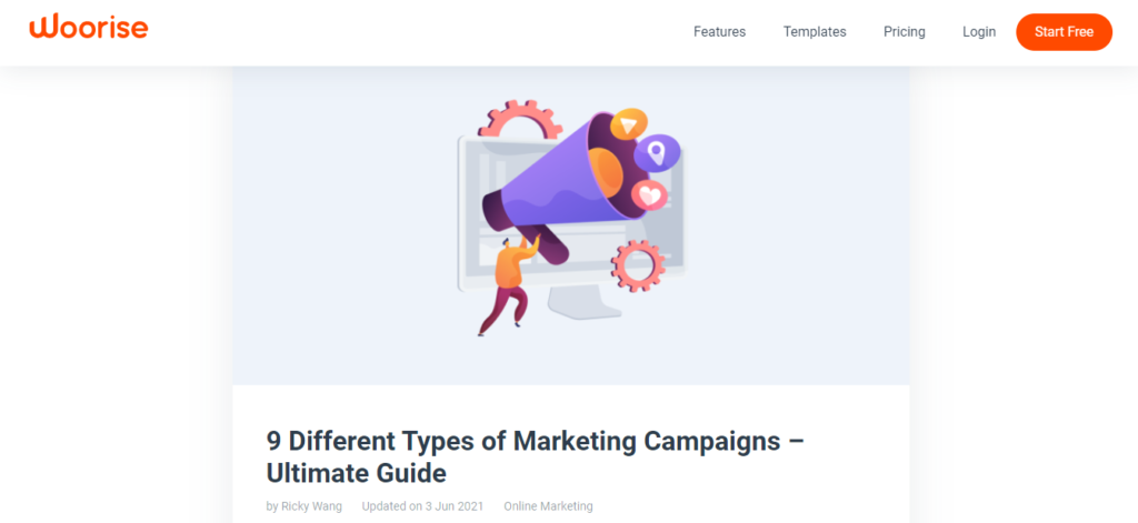 woorise different types of marketing campaigns