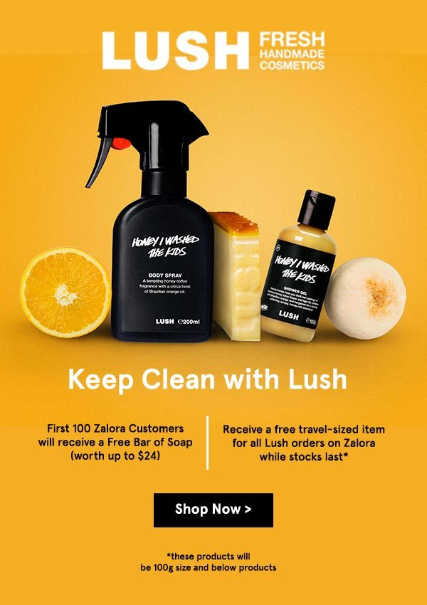 Lush email newsletter example