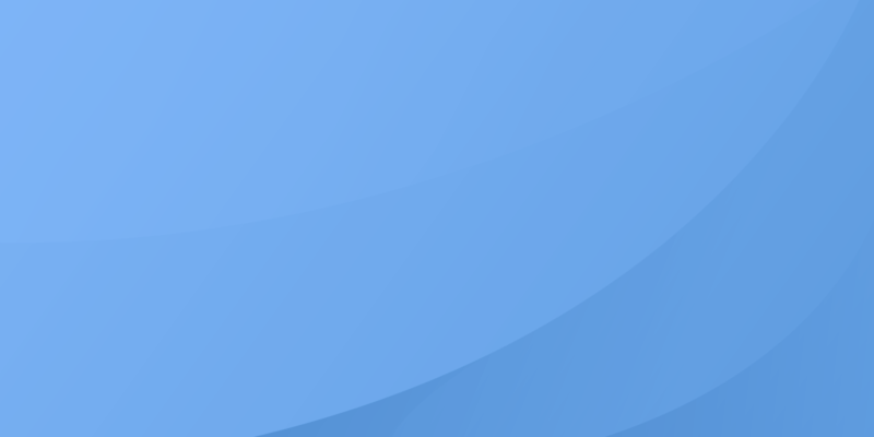 Daily Work Report Form  Template