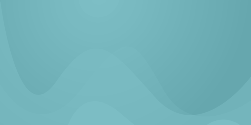 University Application Form  Template