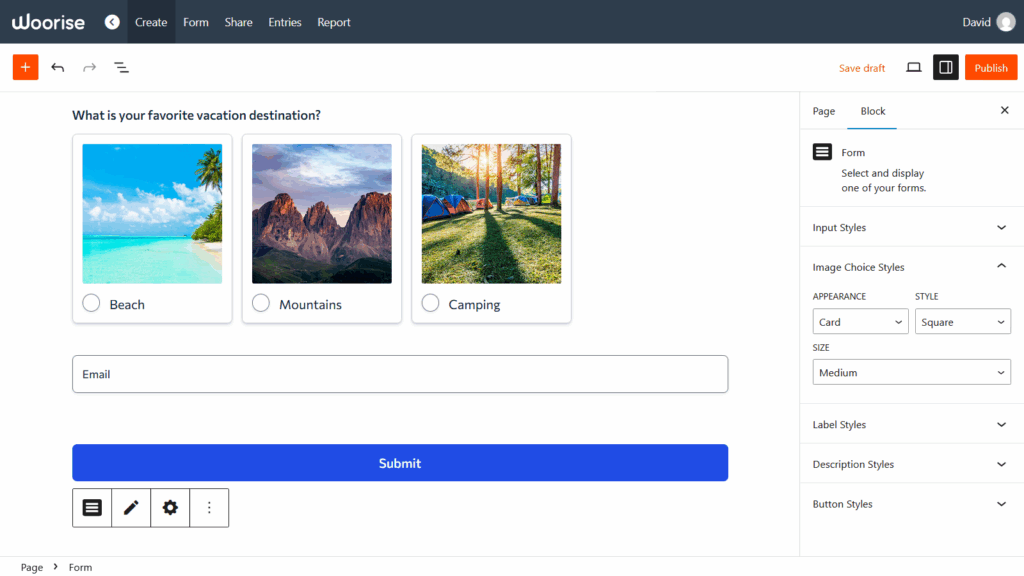 Image Choice field styles