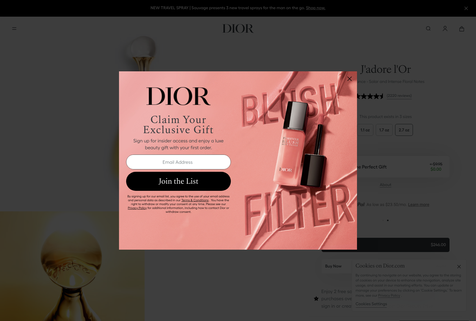 Dior Landing Page Example