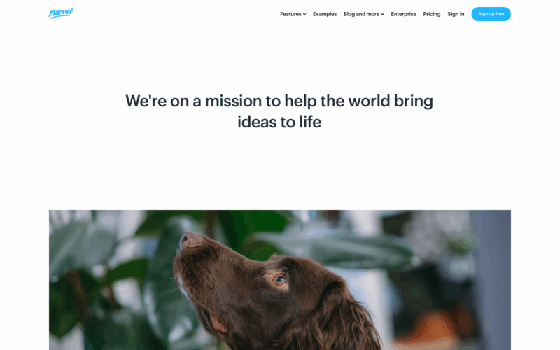 MarvelApp about Landing Page Example
