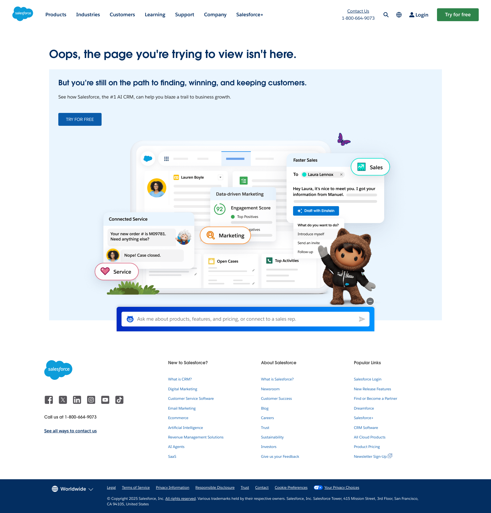 Salesforce 404 Not Found Landing Page Example