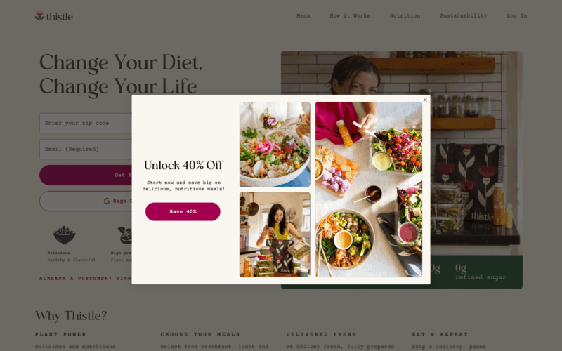 Thistle Landing Page Example