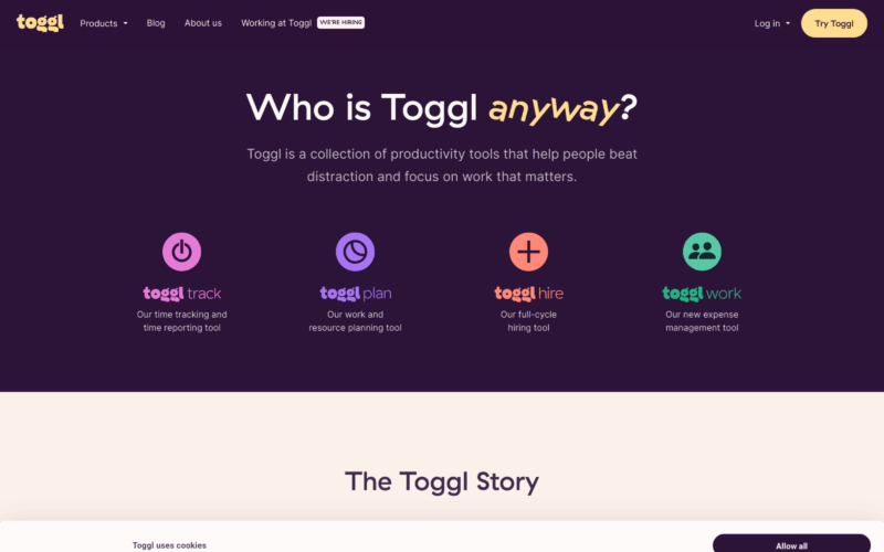Toggl about Landing Page Example