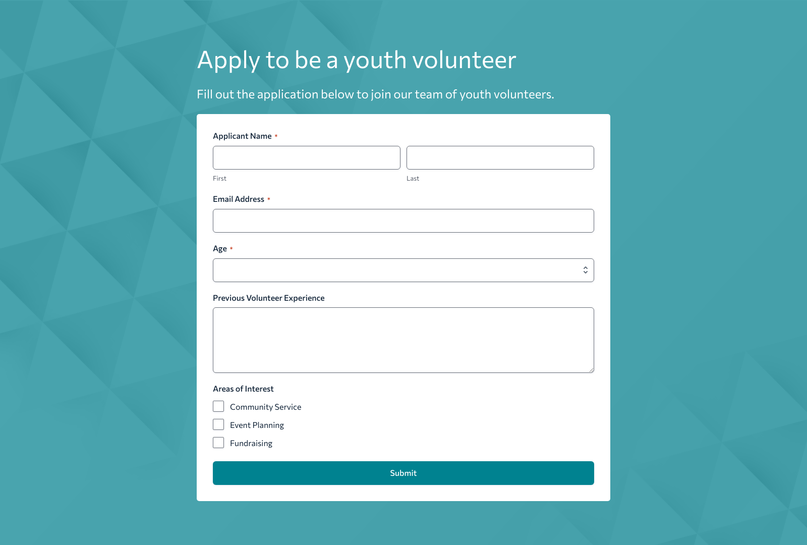Youth Volunteer Job Application Form with fields for name, age, contact details, and submit button.