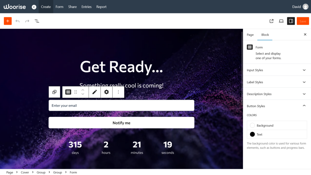 customize the form colors style and fonts