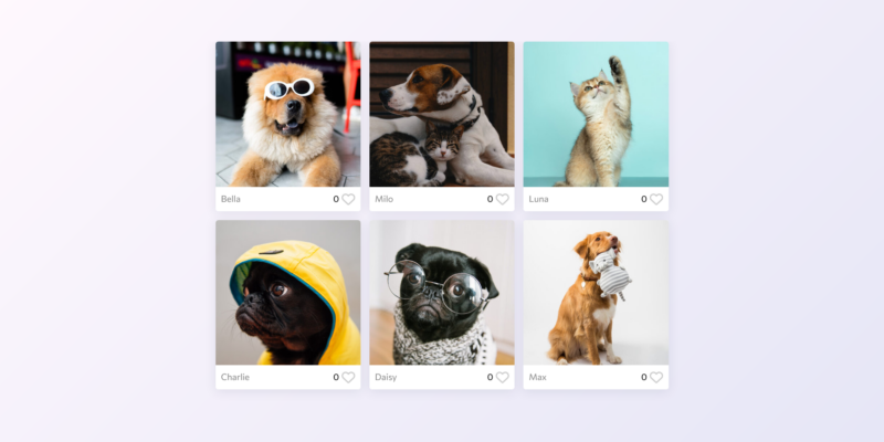Pet Photo Contest